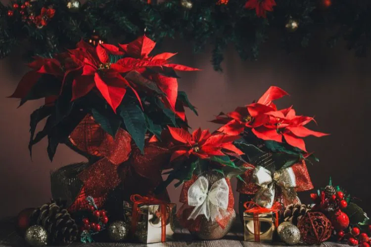 cintas de navidad