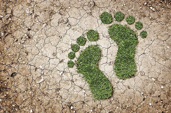como minimizar la huella de carbono
